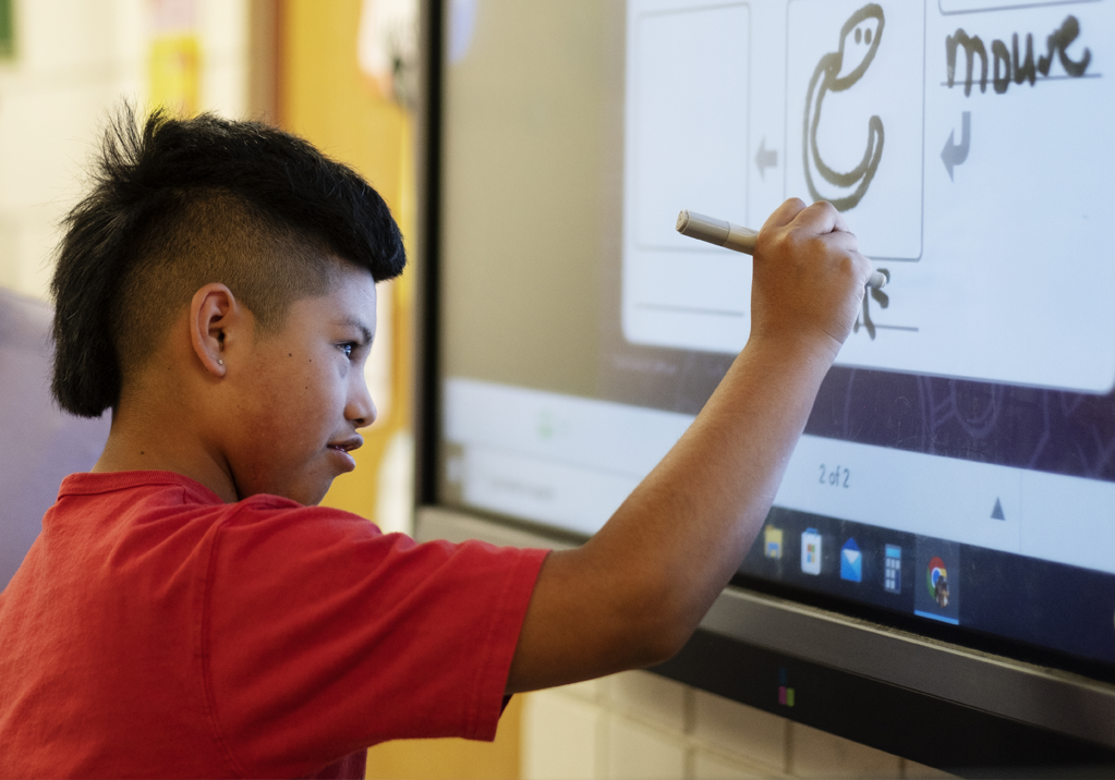 ROVY educational impact